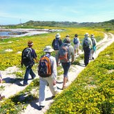 Flower season on the trail